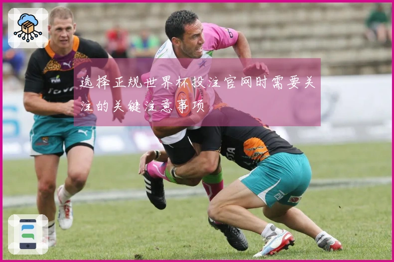 选择正规世界杯投注官网时需要关注的关键注意事项