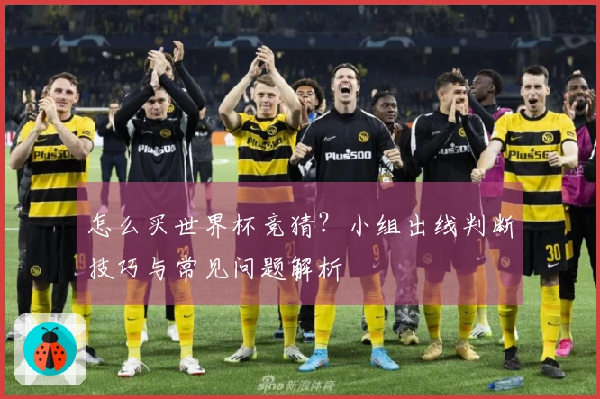 怎么买世界杯竞猜？小组出线判断技巧与常见问题解析