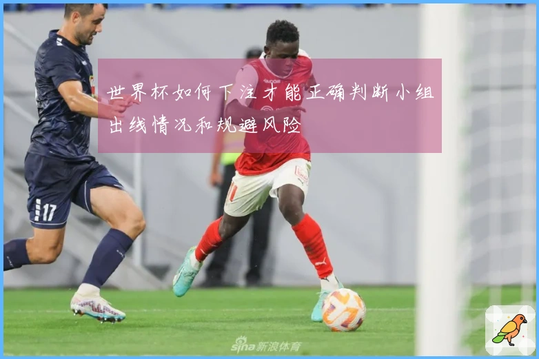 世界杯如何下注才能正确判断小组出线情况和规避风险