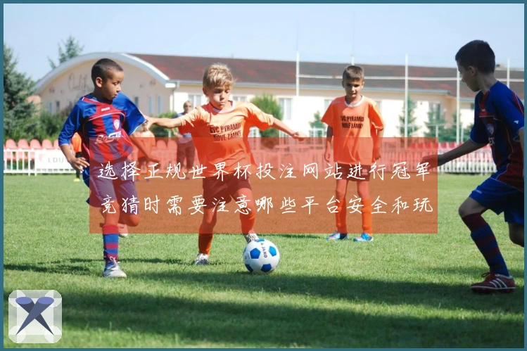 选择正规世界杯投注网站进行冠军竞猜时需要注意哪些平台安全和玩法差异
