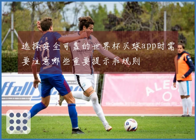 选择安全可靠的世界杯买球app时需要注意哪些重要提示和规则